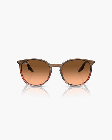 RAY-BAN RB2204 - 13953B