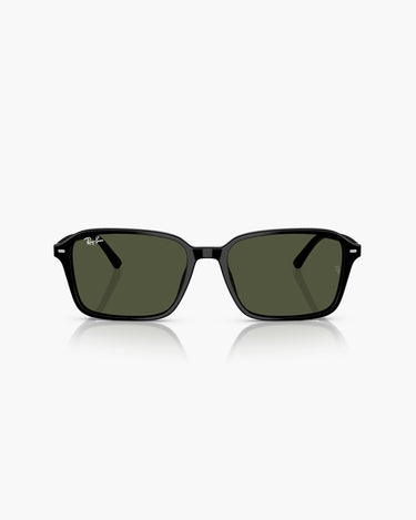 RAY BAN RB2231 - 901/31 RAIMOND