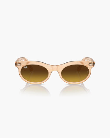 RAY BAN RB2242 - 138685 WAYFARER OVAL