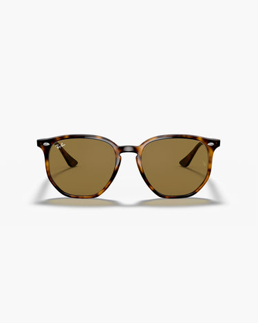RAY-BAN RB4306 - 710/73