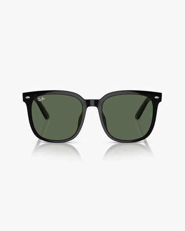 RAY-BAN RB4401D - 601/71