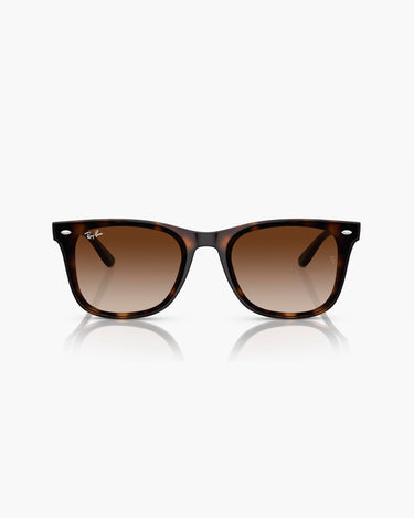 RAY-BAN RB4420 - 710/13