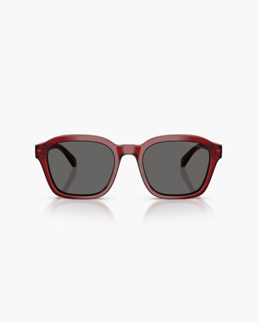 EMPORIO ARMANI EA4245U - 624887