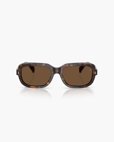 - 300273  SUNTRAP