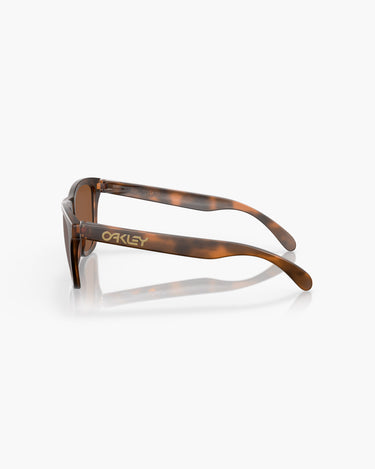 OAKLEY SOLE OO9013 - 9013C5  FROGSKINS