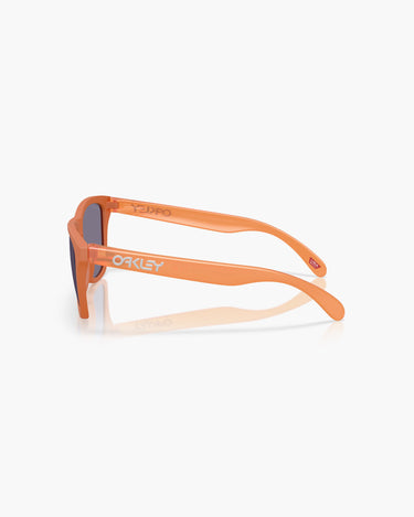 OAKLEY SOLE OO9013 - 9013M1  FROGSKINS