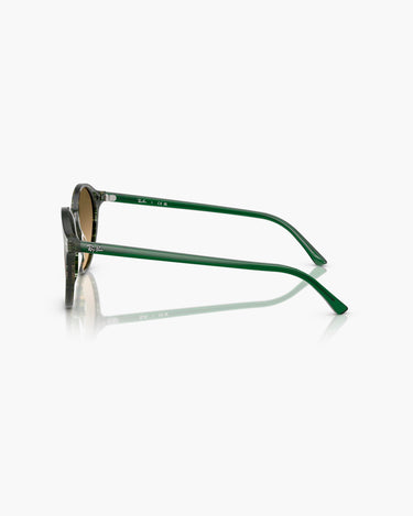 RAY BAN RB2230 - 14210A  BERNARD