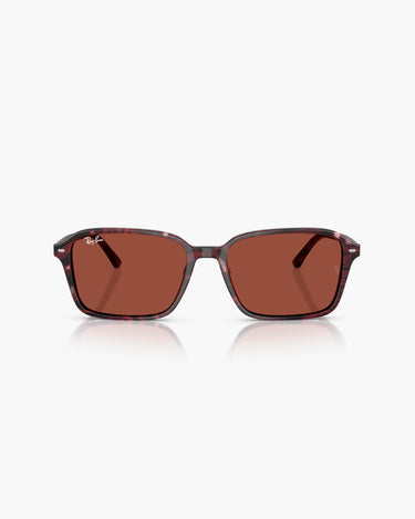 RAY BAN RB2231 - 1416C5  RAIMOND