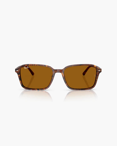 RAY BAN RB2231 - 141833  RAIMOND