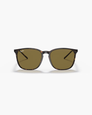 RAY-BAN RB4387F - 902/73