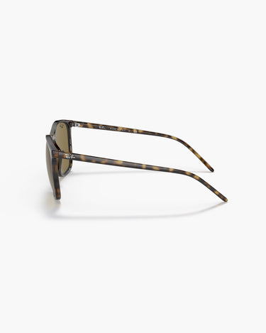 RAY-BAN RB4387 - 710/73
