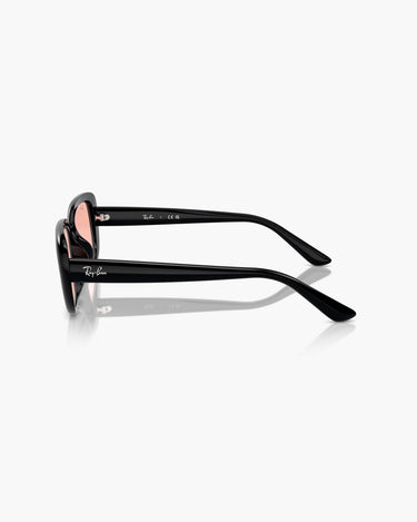 RAY-BAN RB4421D - 667784