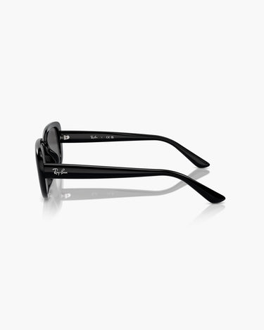 RAY-BAN RB4421D - 667787