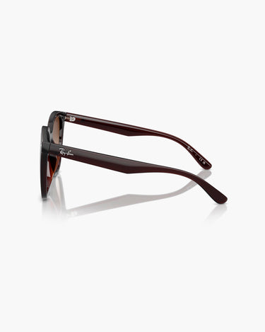 RAY-BAN RB4423D - 714/13