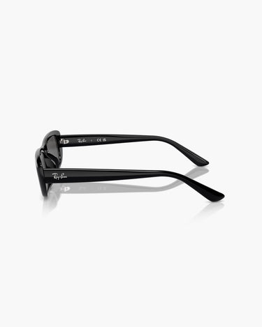 RAY-BAN RB4436D - 667787