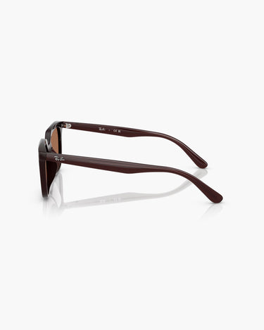 RAY-BAN RB4439D - 623173