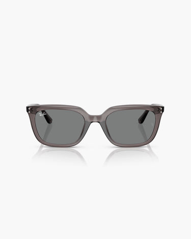 RAY-BAN RB4439D - 667587