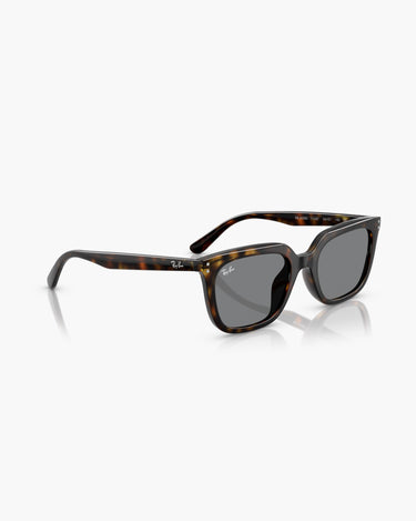 RAY-BAN RB4439D - 710/87