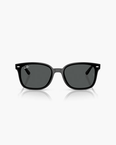 RAY-BAN RB4461D - 601/87