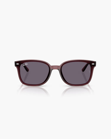 RAY-BAN RB4461D - 659373