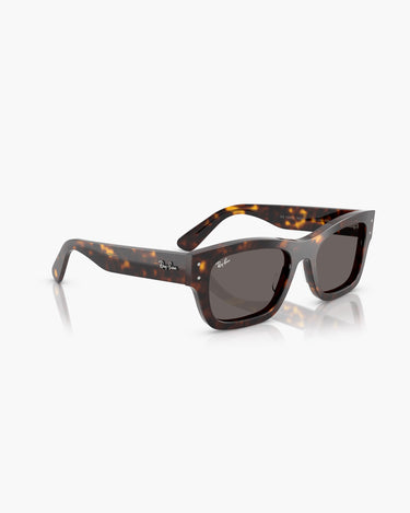 RAY-BAN RB7683S - 902/B1  JOSEPH